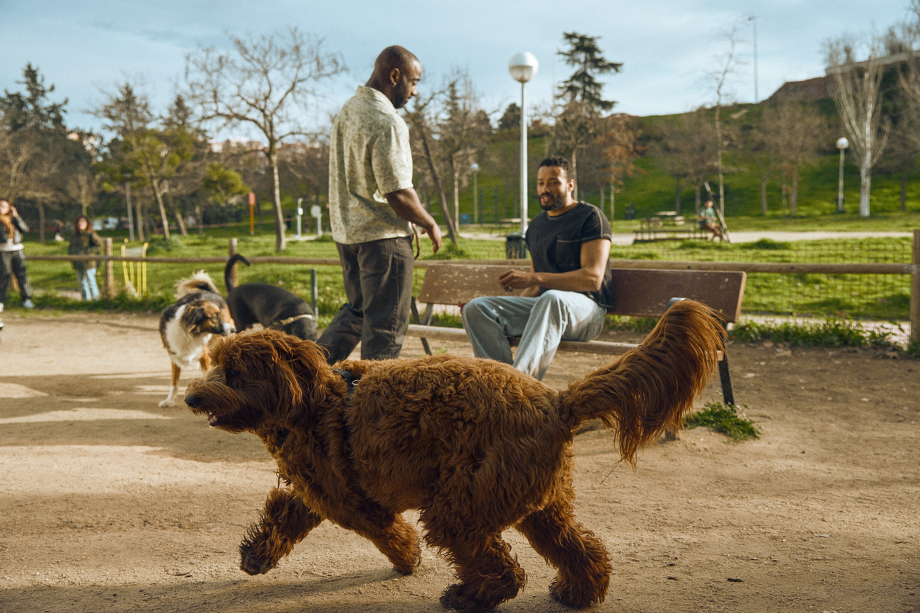 Fotógrafo, Director Publicitario y Cinematógrafo o DOP (Director de Fotografía) de lifestyle en Barcelona 18